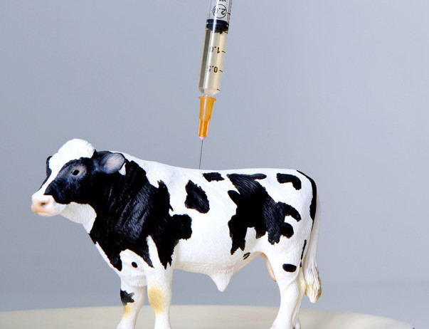 Where’s The Beef? How And Why Growth Hormones Have Become The Norm.